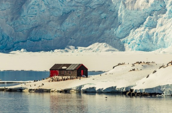 The image you've shown is of Port Lockroy, a historic site and one of the most popular tourist destinations in Antarctica. Port Lockroy is situated on Goudier Island, off the Antarctic Peninsula. It features the famous "Bransfield House," painted red and black, which serves as a museum and post office. Established during World War II as part of a British military mission, the site is now managed by the United Kingdom Antarctic Heritage Trust. It's known for its breathtaking scenery, historical significance, and as a habitat for Gentoo penguins, which are often seen roaming around the area. Visitors to Port Lockroy can explore the museum to learn about its history, send postcards with a unique Antarctic stamp, and observe the penguin colony that shares the island.