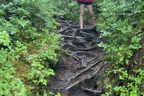 Review img # 6 of the yacht BEAR PAW