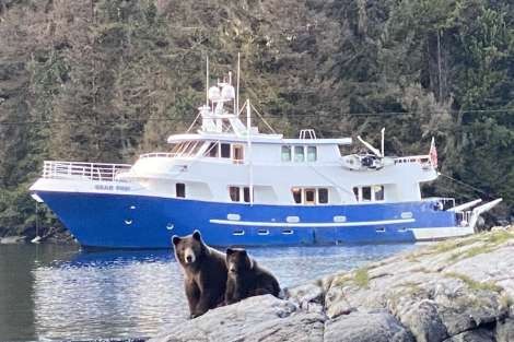 Review img # 3 of the yacht BEAR PAW