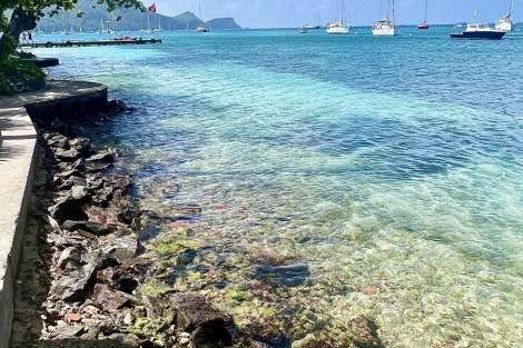 Review img # 88 of the yacht ISOLABLUE