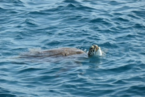 Review img # 73 of the yacht MAKIN MEMORIES