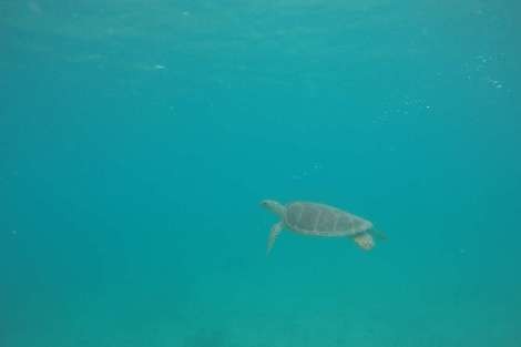 Review img # 68 of the yacht MAKIN MEMORIES