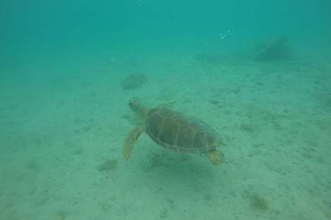 Review img # 69 of the yacht MAKIN MEMORIES