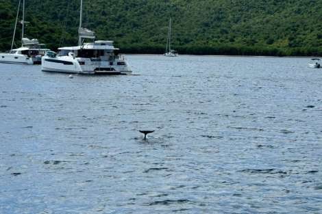 Review img # 58 of the yacht MAKIN MEMORIES