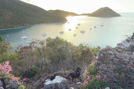 Review img # 20 of the yacht MAKIN MEMORIES