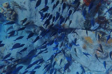 Review img # 16 of the yacht MAKIN MEMORIES