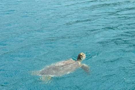 Review img # 7 of the yacht MAKIN MEMORIES