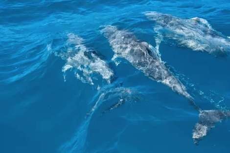 Review img # 15 of the yacht MAKIN MEMORIES