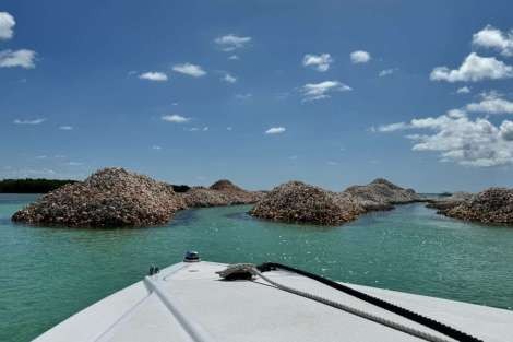 Review img # 9 of the yacht MARE BLU