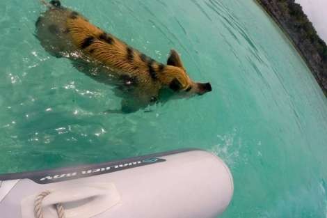 Review img # 12 of the yacht PARADIGM SHIFT