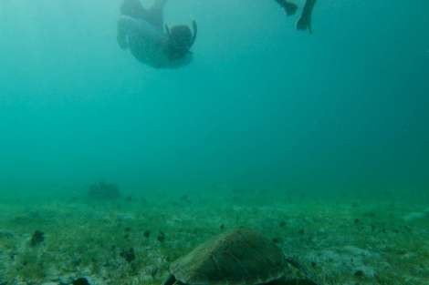 Review img # 108 of the yacht SCUBA DOO